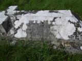 image of grave number 636509